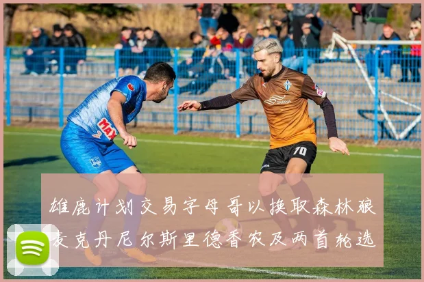 雄鹿计划交易字母哥以换取森林狼麦克丹尼尔斯里德香农及两首轮选秀权